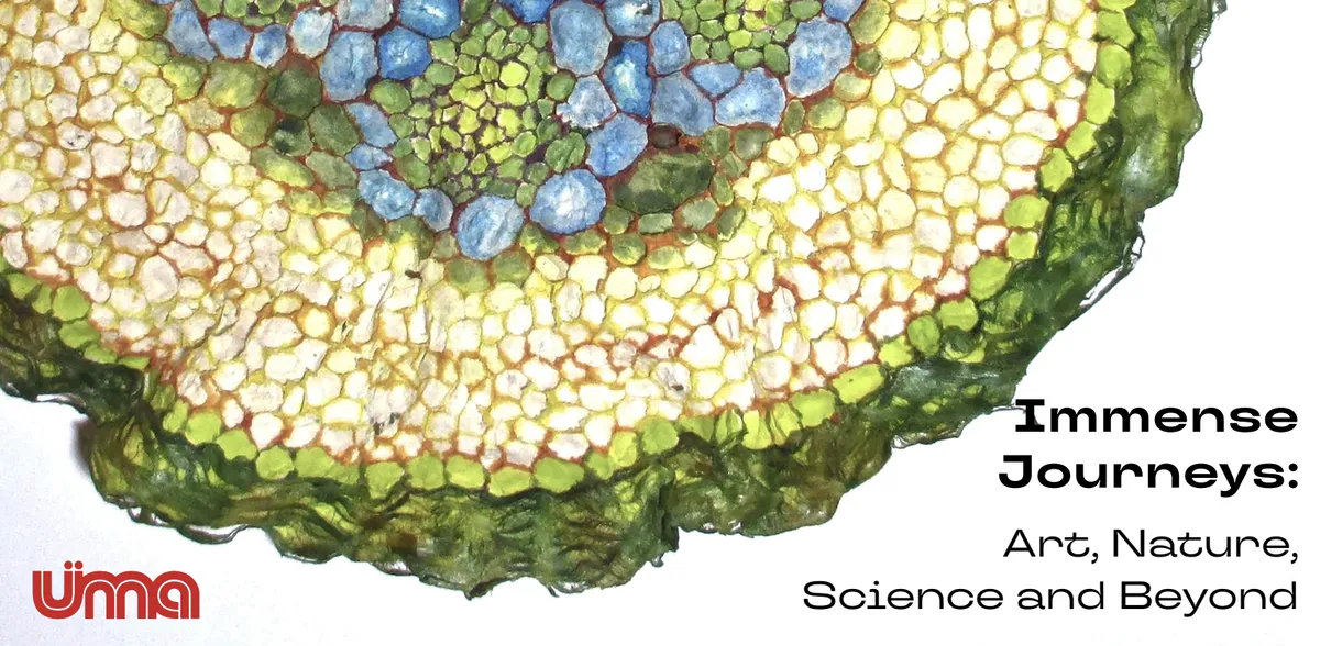 Postponed Opening Reception: Immense Journeys: Art, Nature, Science and Beyond