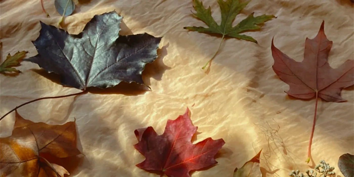 Autumn Impression: Botanical Painting with Fall Leaves Workshop