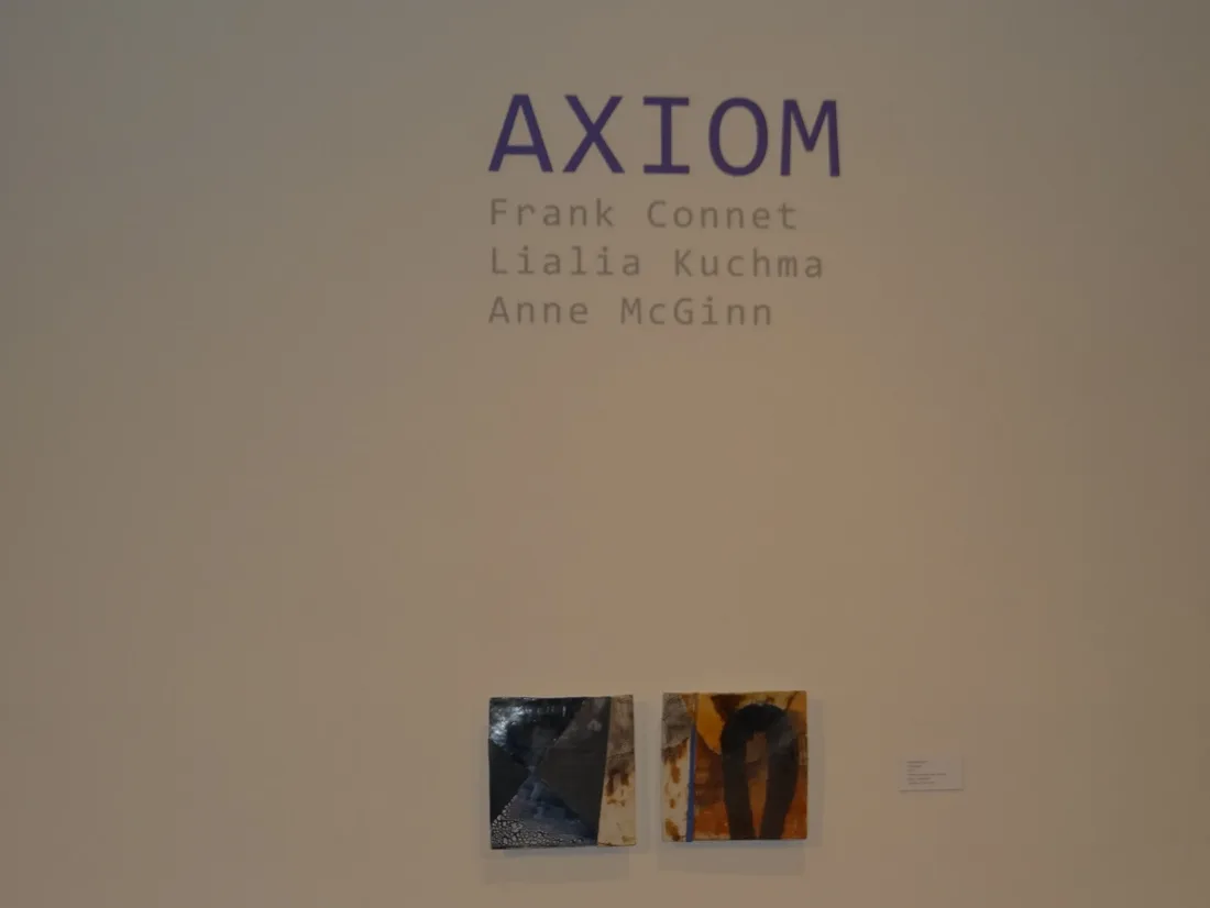 Installation view or artwork from Axiom