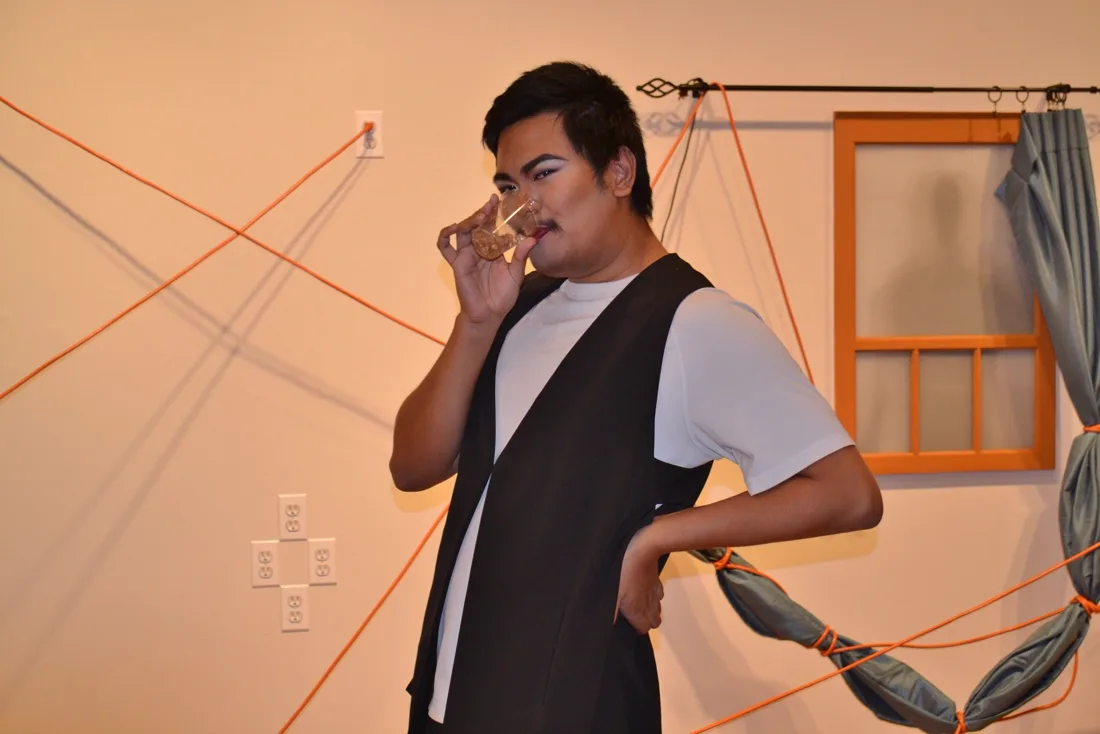 Installation view or artwork from Domestic Disturbances