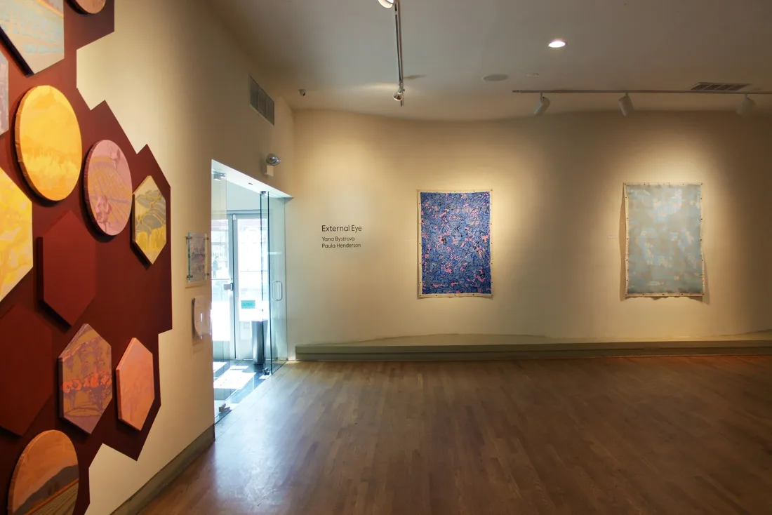 Installation view or artwork from The External Eye: Yana Bystrova and Paula Henderson