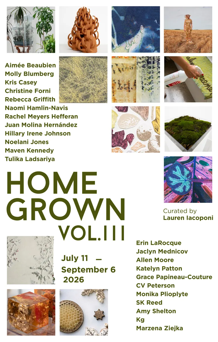 Installation view or artwork from Home Grown Vol. III