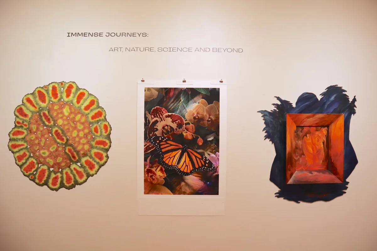 Installation view or artwork from Immense Journeys: Art, Nature, Science and Beyond
