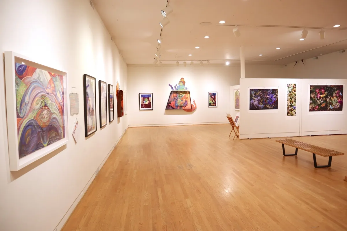 Installation view or artwork from Immense Journeys: Art, Nature, Science and Beyond