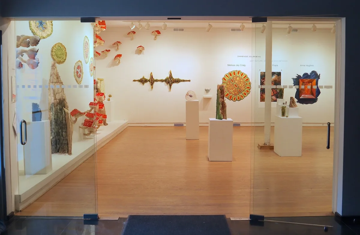 Installation view or artwork from Immense Journeys: Art, Nature, Science and Beyond