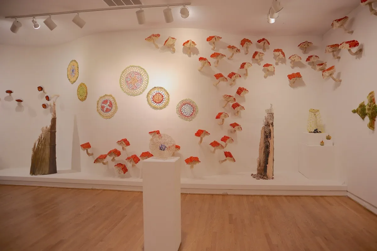 Installation view or artwork from Immense Journeys: Art, Nature, Science and Beyond