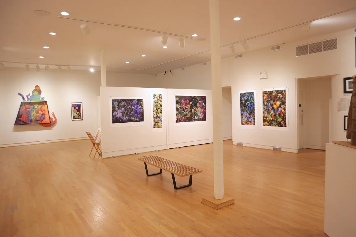 Installation view or artwork from Immense Journeys: Art, Nature, Science and Beyond