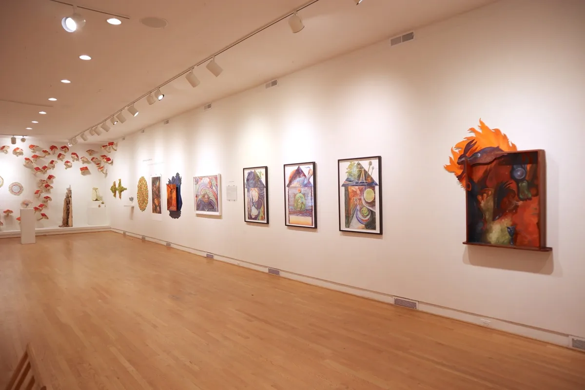 Installation view or artwork from Immense Journeys: Art, Nature, Science and Beyond