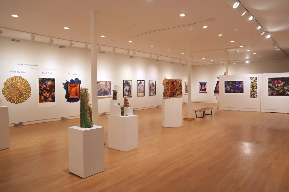 Installation view or artwork from Immense Journeys: Art, Nature, Science and Beyond