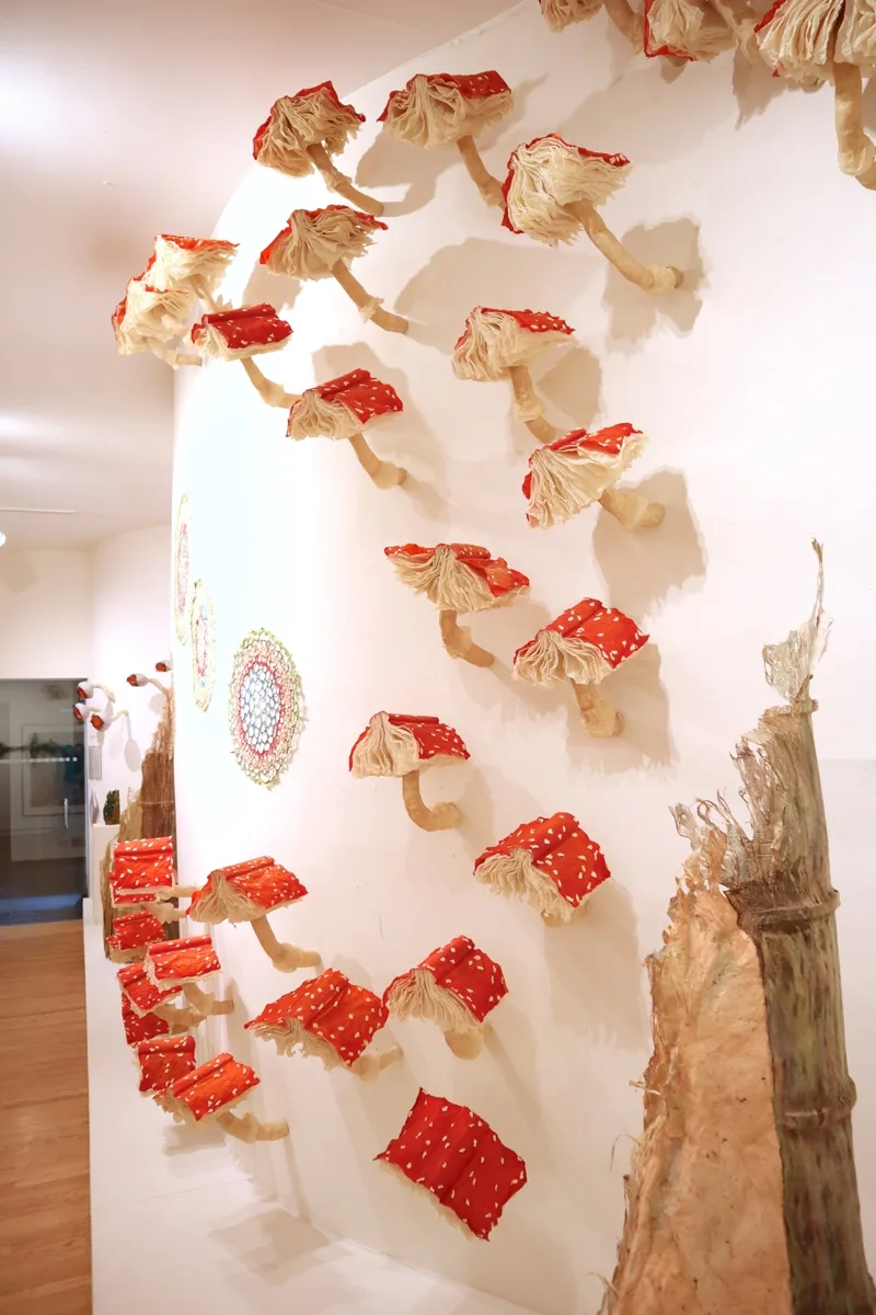 Installation view or artwork from Immense Journeys: Art, Nature, Science and Beyond