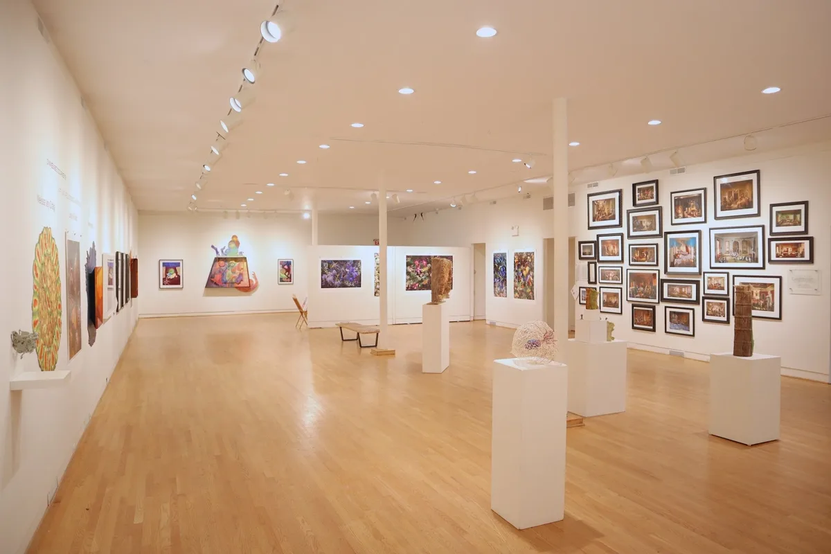 Installation view or artwork from Immense Journeys: Art, Nature, Science and Beyond