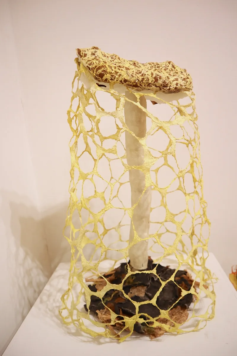 Installation view or artwork from Immense Journeys: Art, Nature, Science and Beyond