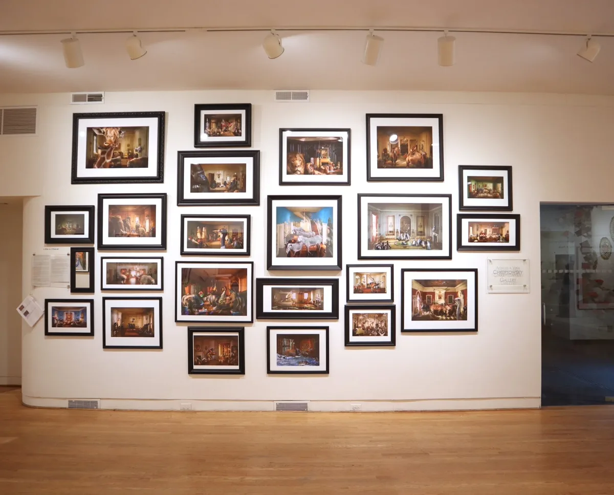 Installation view or artwork from Immense Journeys: Art, Nature, Science and Beyond