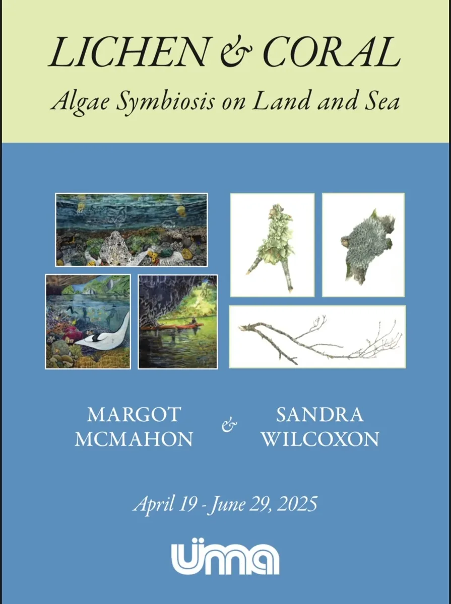 Installation view or artwork from Lichen & Coral: Algae Symbiosis on Land and Sea