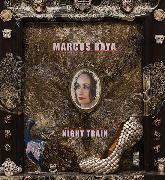 Installation view or artwork from Marcos Raya – Night Train