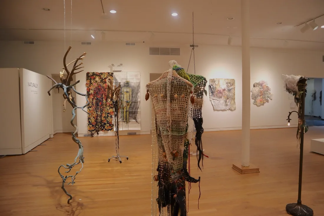 Installation view or artwork from Naturally