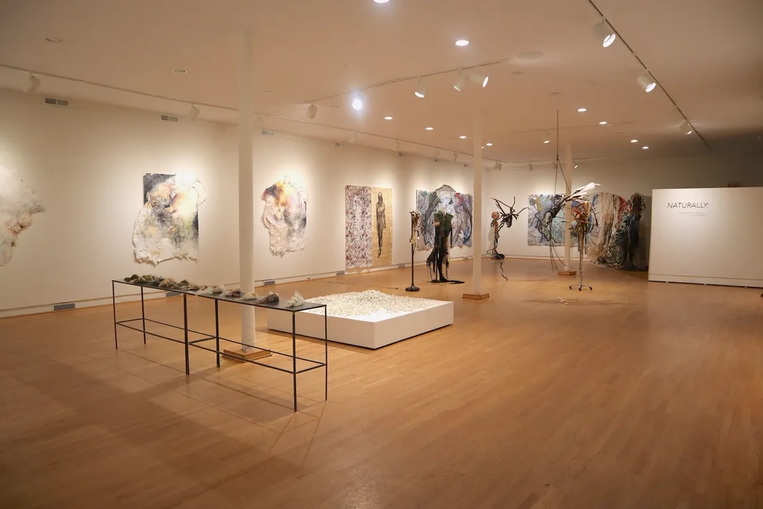 Installation view or artwork from Naturally