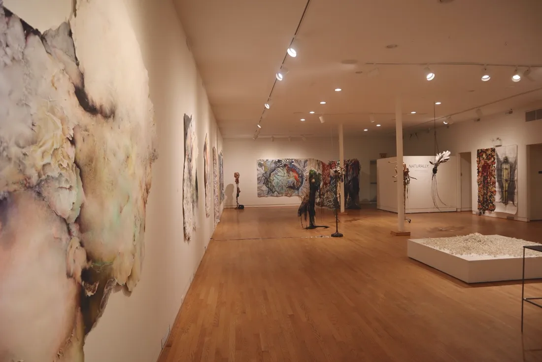 Installation view or artwork from Naturally