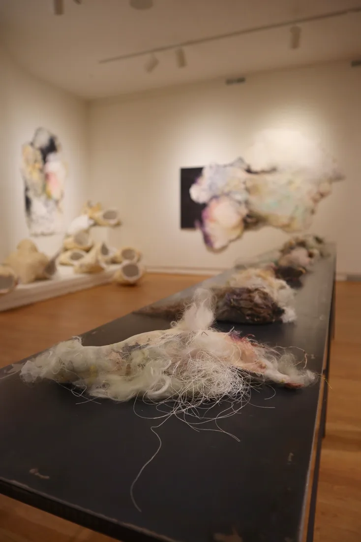 Installation view or artwork from Naturally