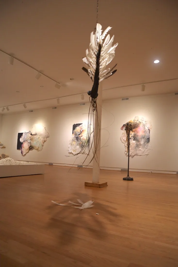 Installation view or artwork from Naturally