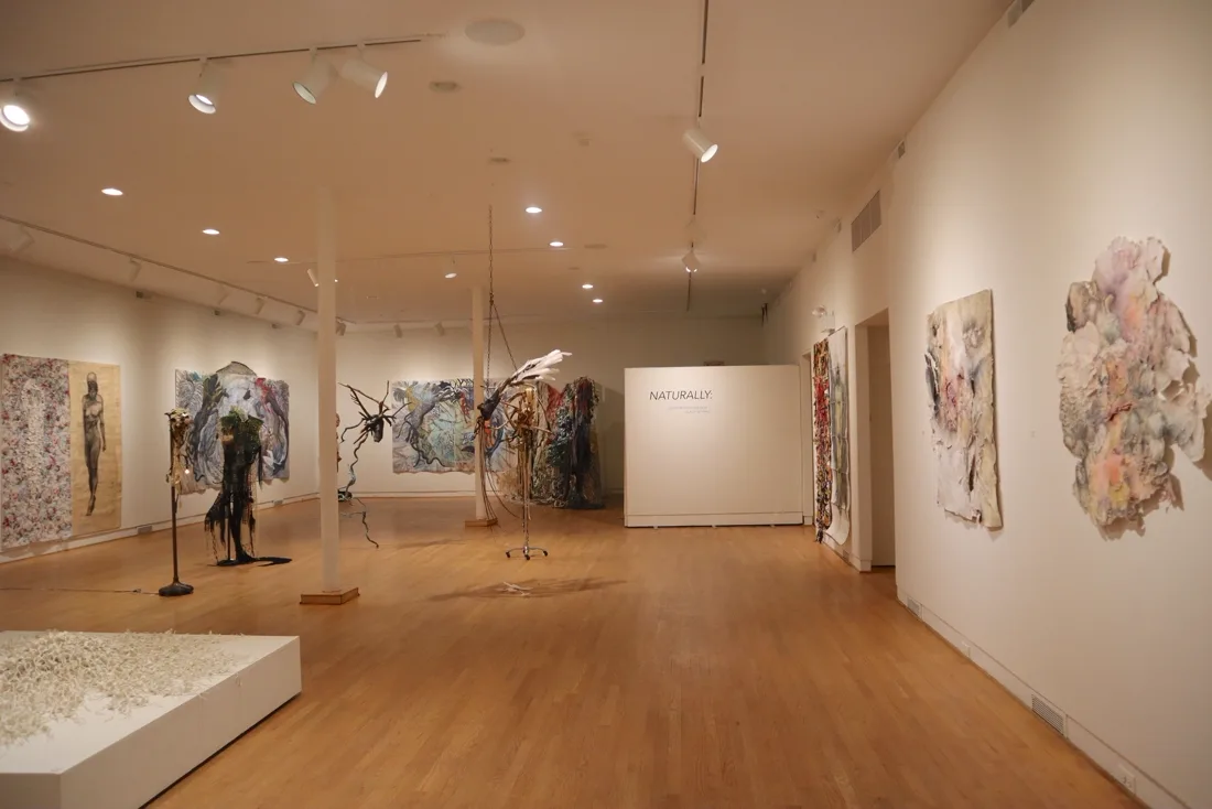 Installation view or artwork from Naturally