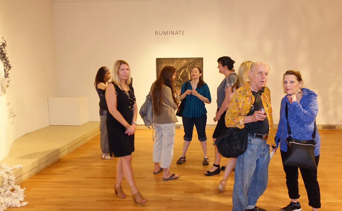 Installation view or artwork from Ruminate
