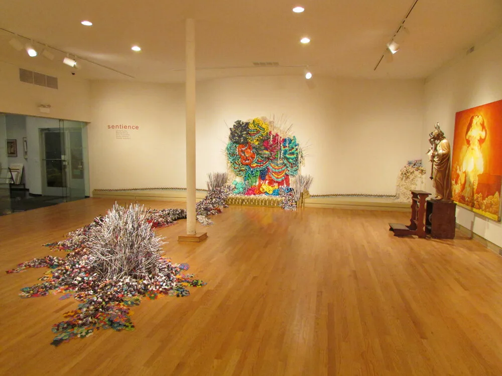 Installation view or artwork from Sentience