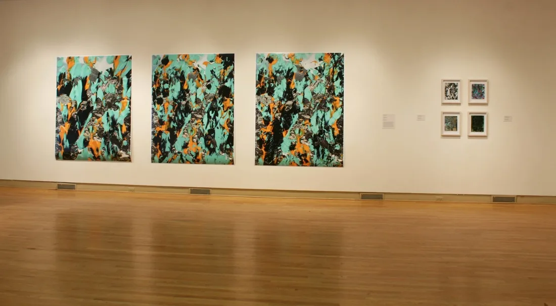 Installation view or artwork from Skimption