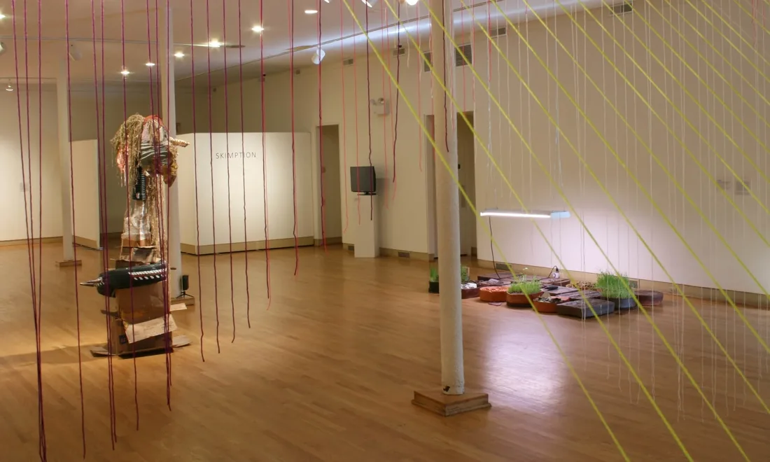 Installation view or artwork from Skimption