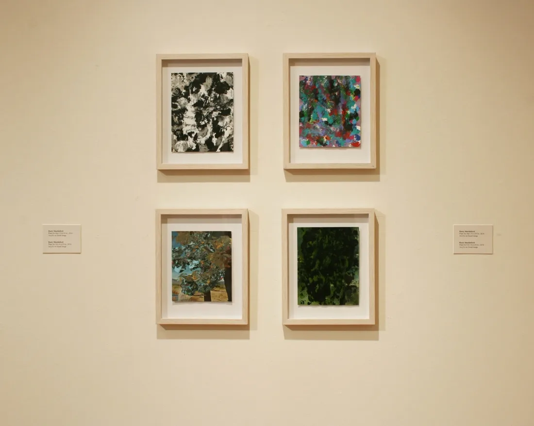 Installation view or artwork from Skimption