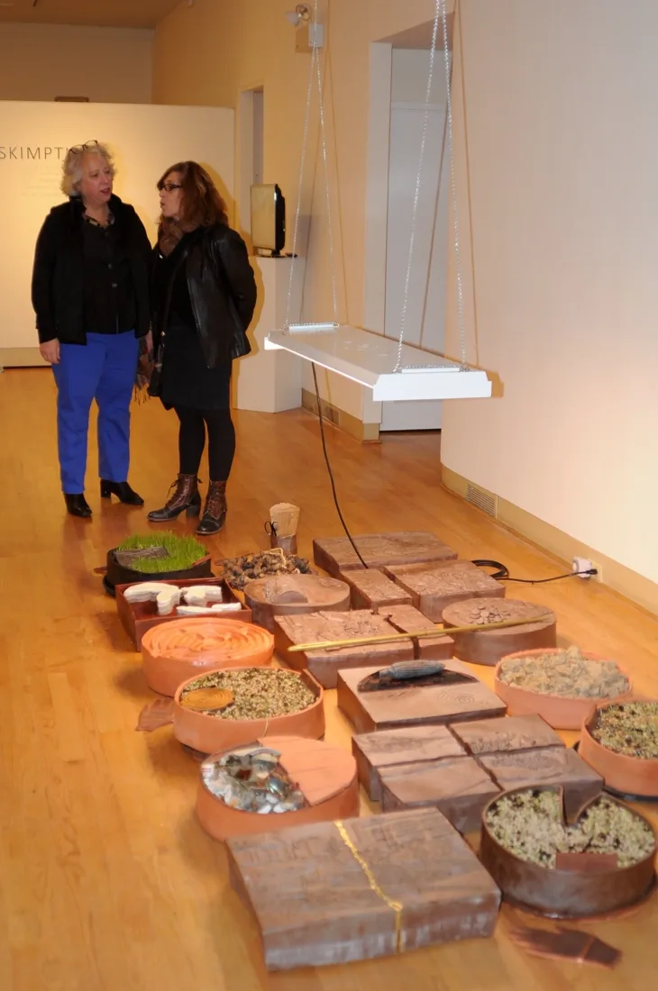 Installation view or artwork from Skimption