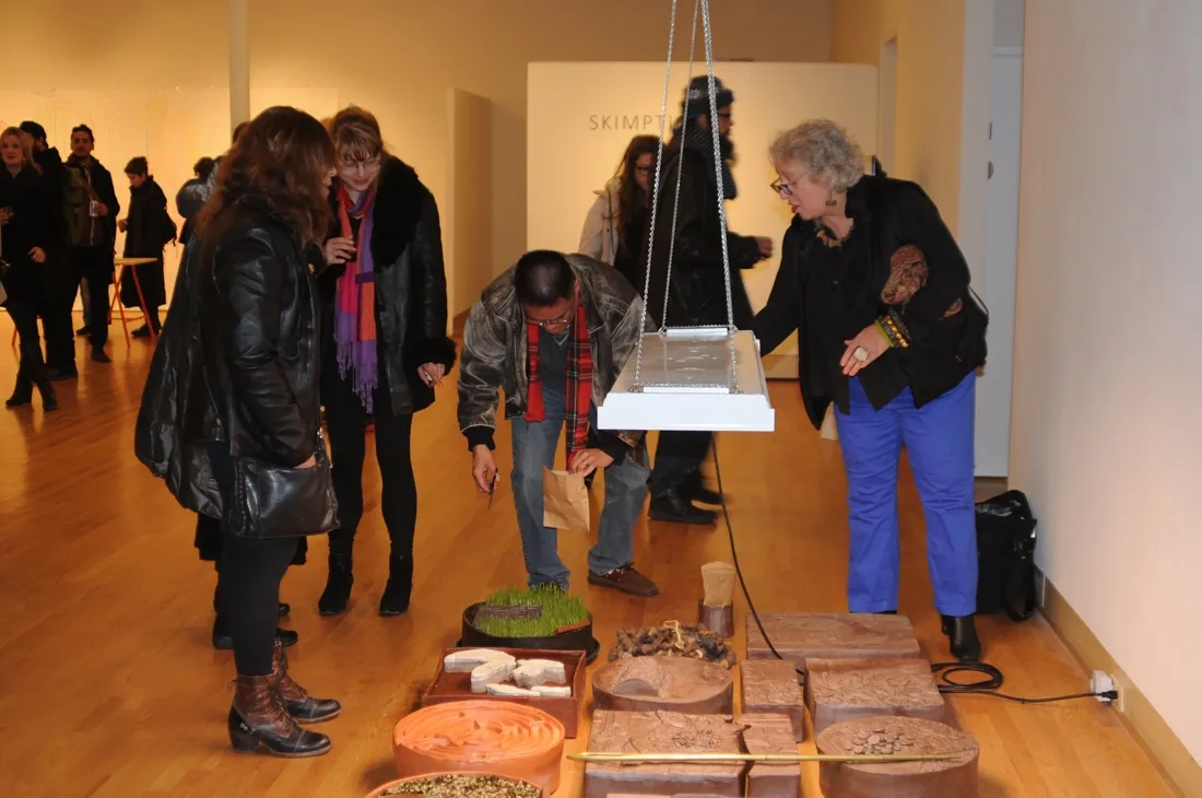 Installation view or artwork from Skimption