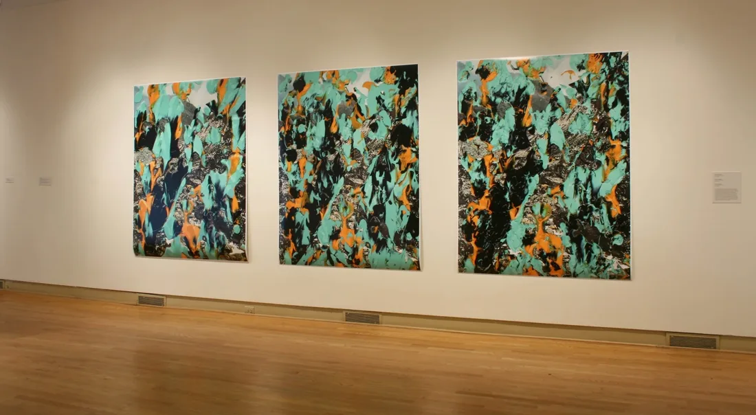 Installation view or artwork from Skimption