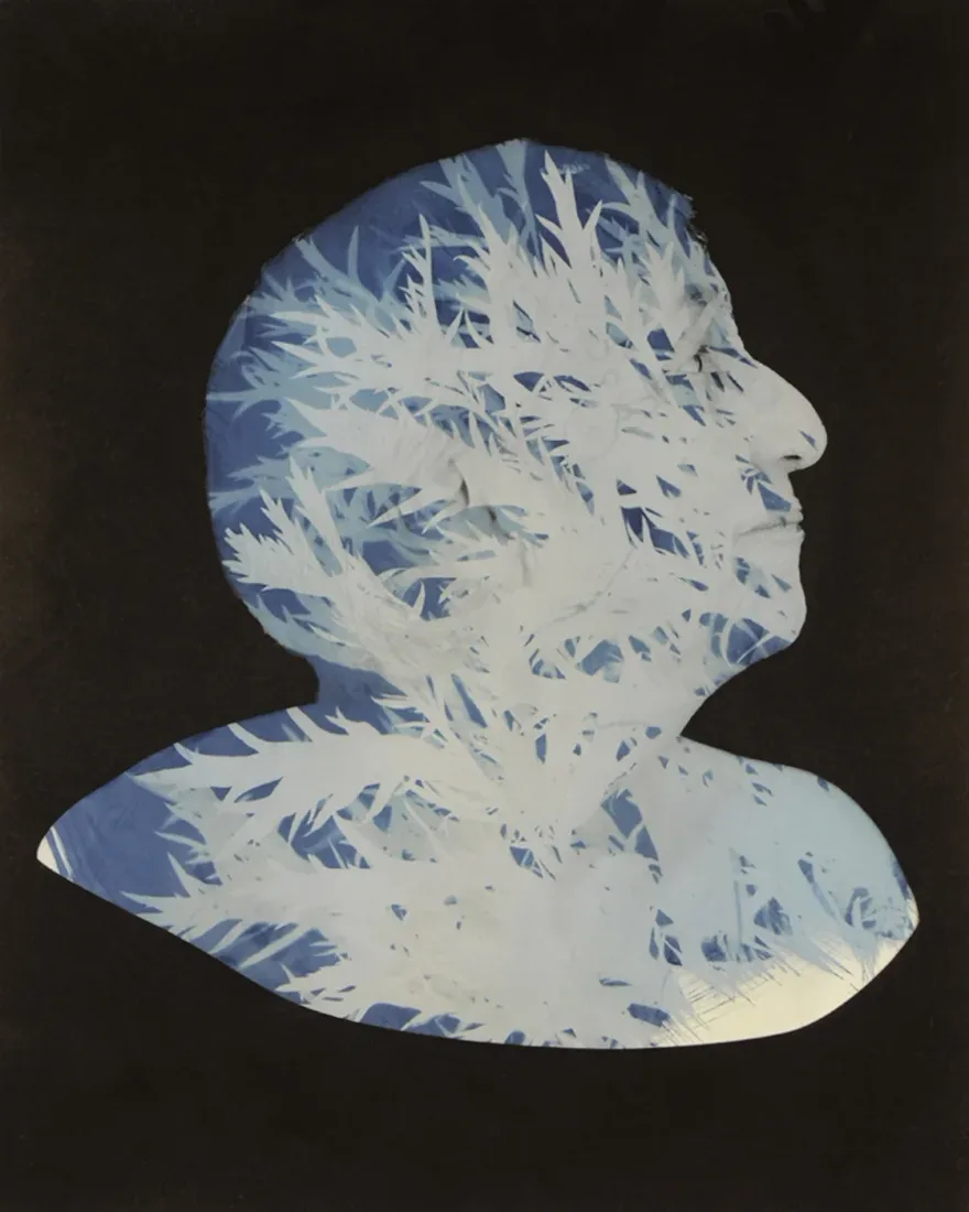 Installation view or artwork from Stella: The Nature of a Collective