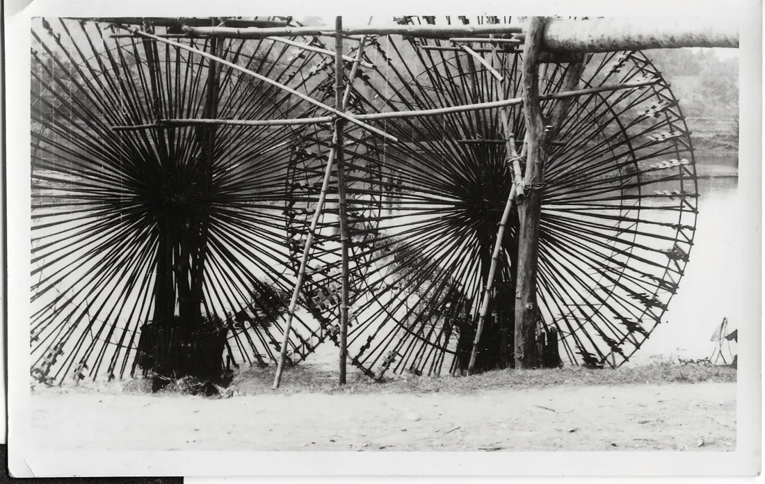 Installation view or artwork from Through the Lens: Unbending Life